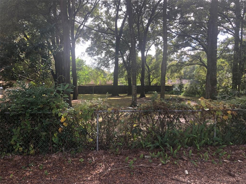 a view of outdoor space and yard