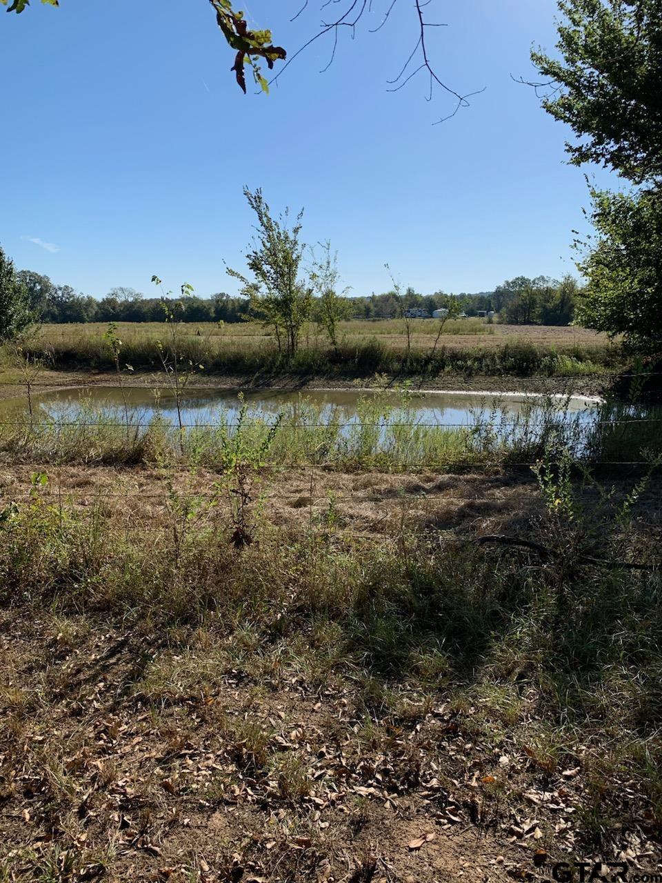 a view of lake with green space