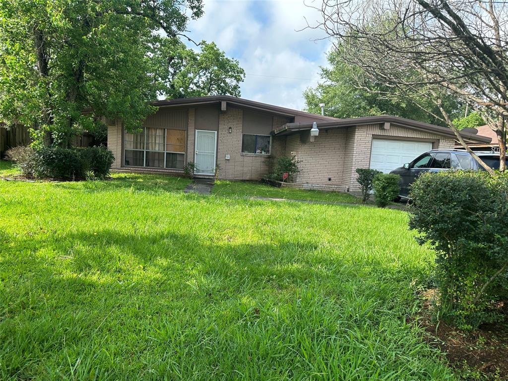 a backyard of a house with plants and large tree