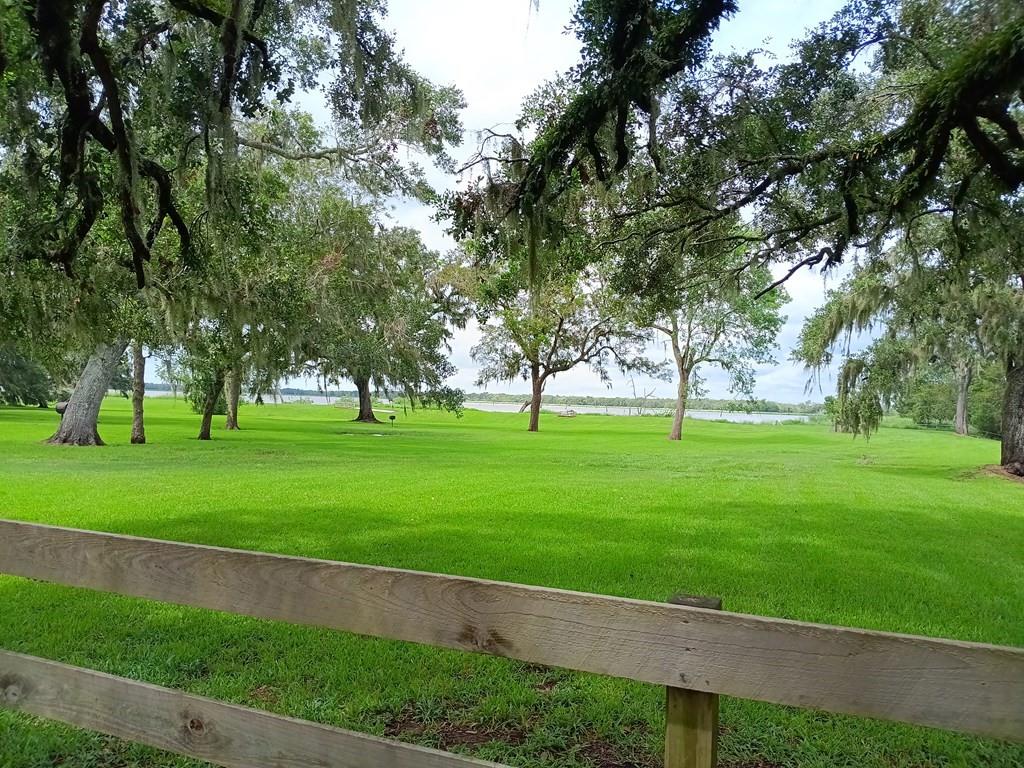 a huge green field with lots of trees