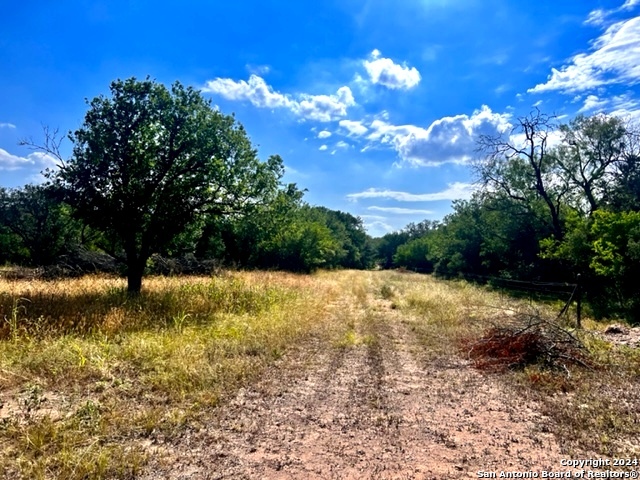 a view of a yard