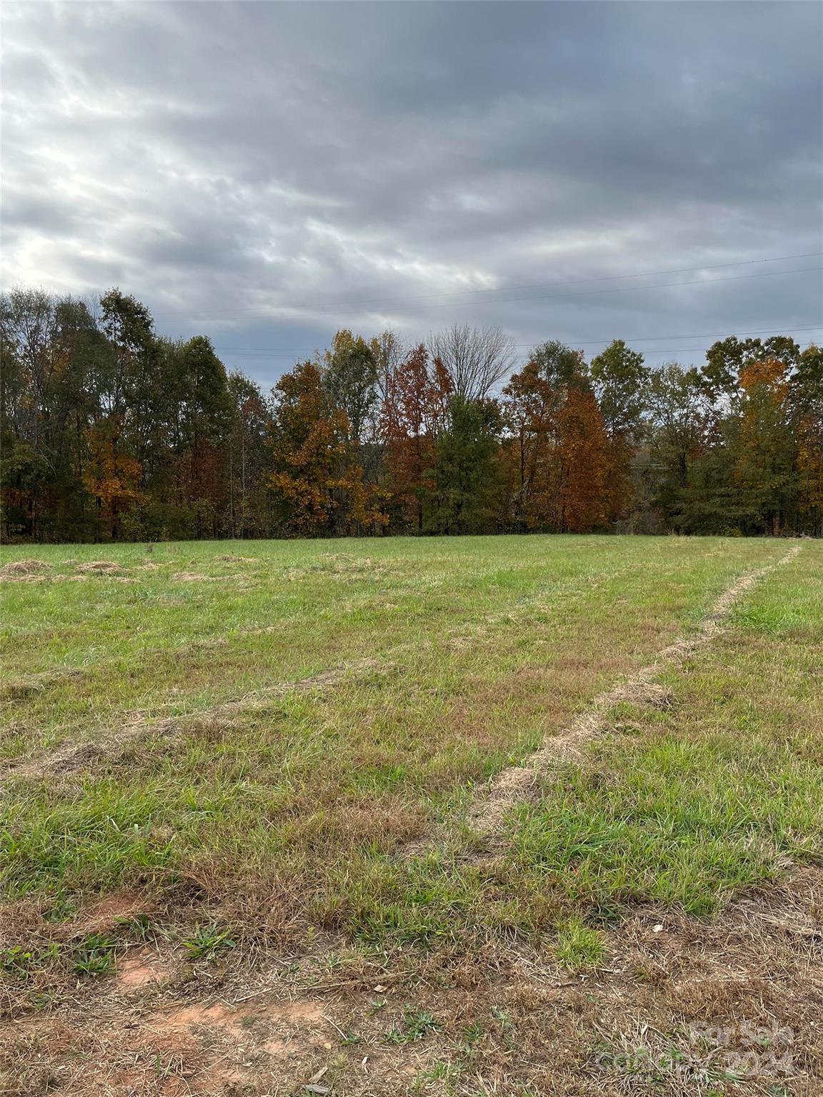 a view of a field with an ocean