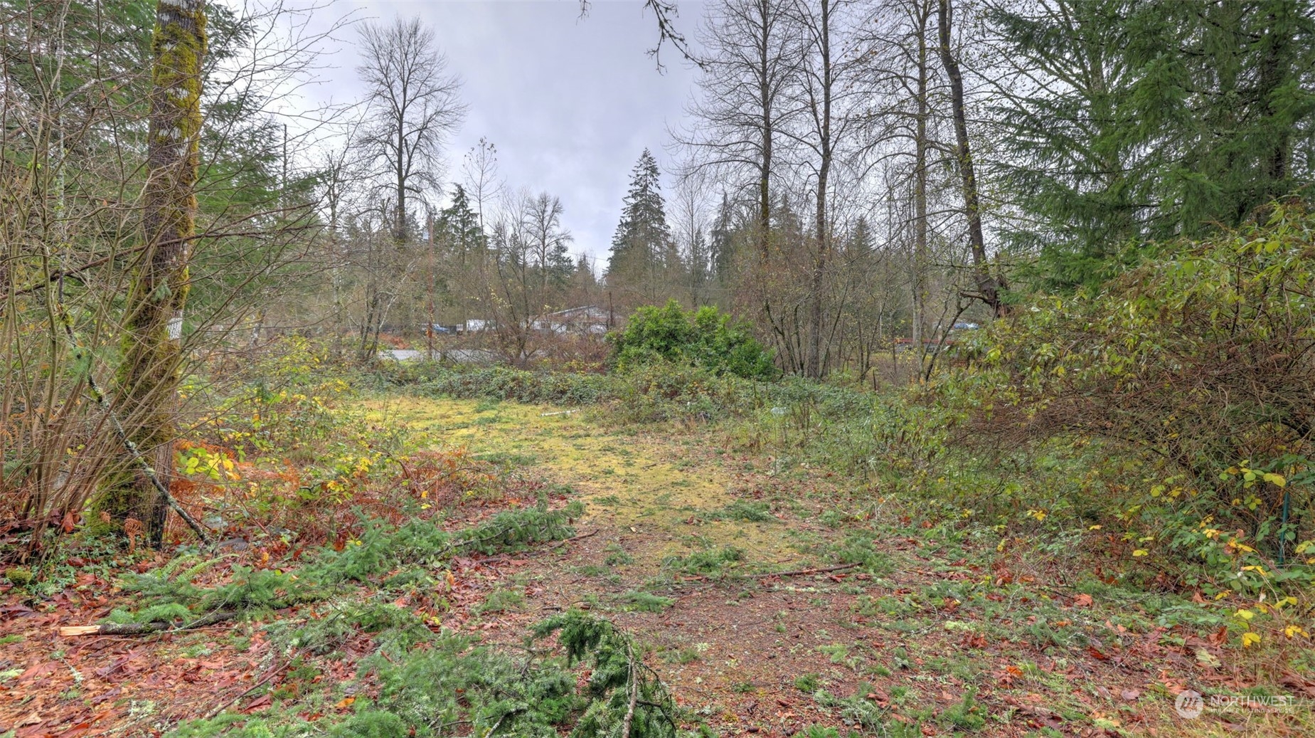 a view of a yard with trees