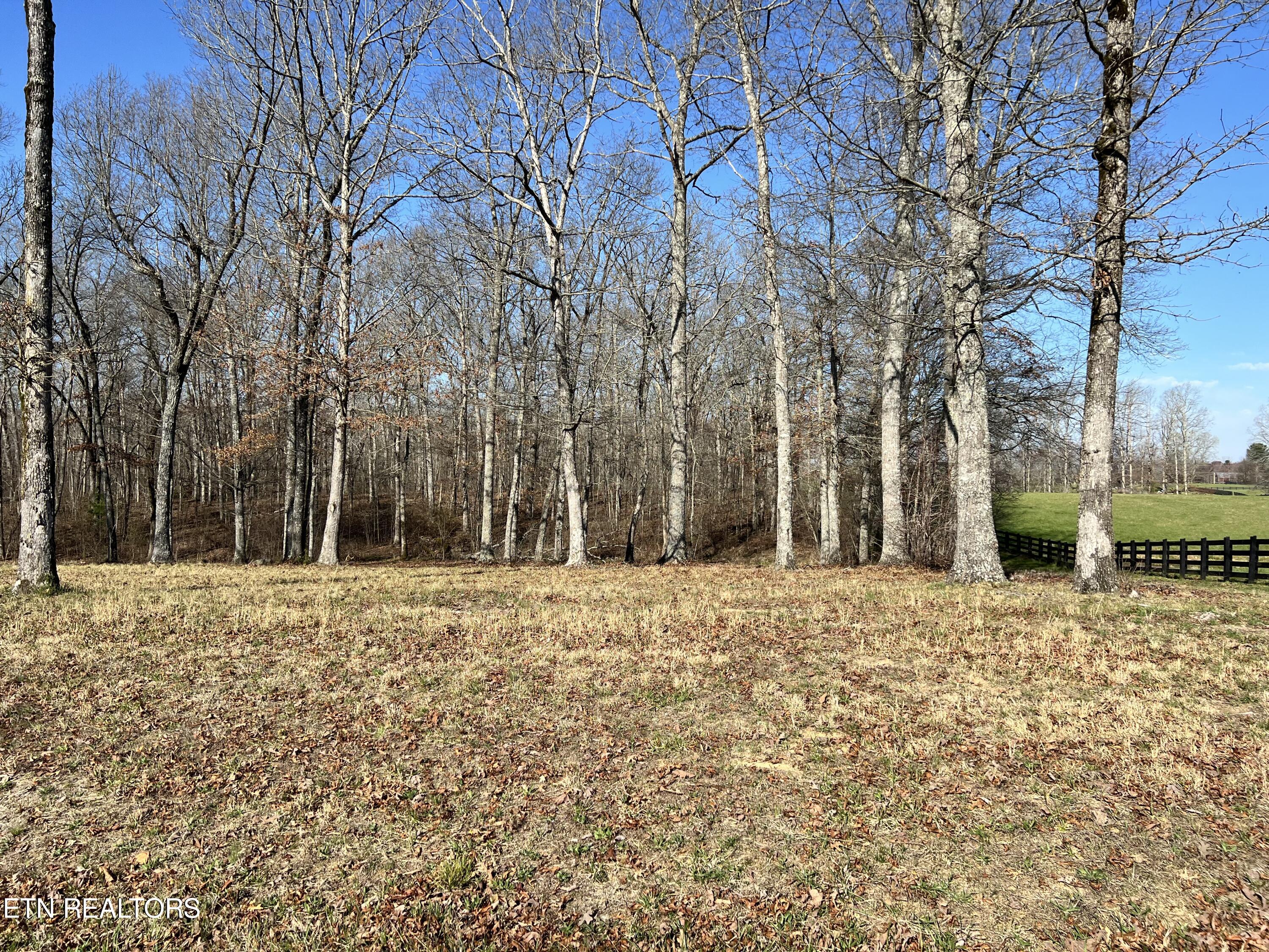 Lot 8 Catoosa Ridge