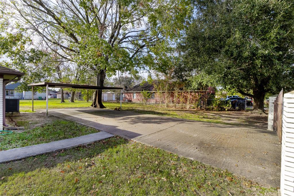 a view of a park with large trees