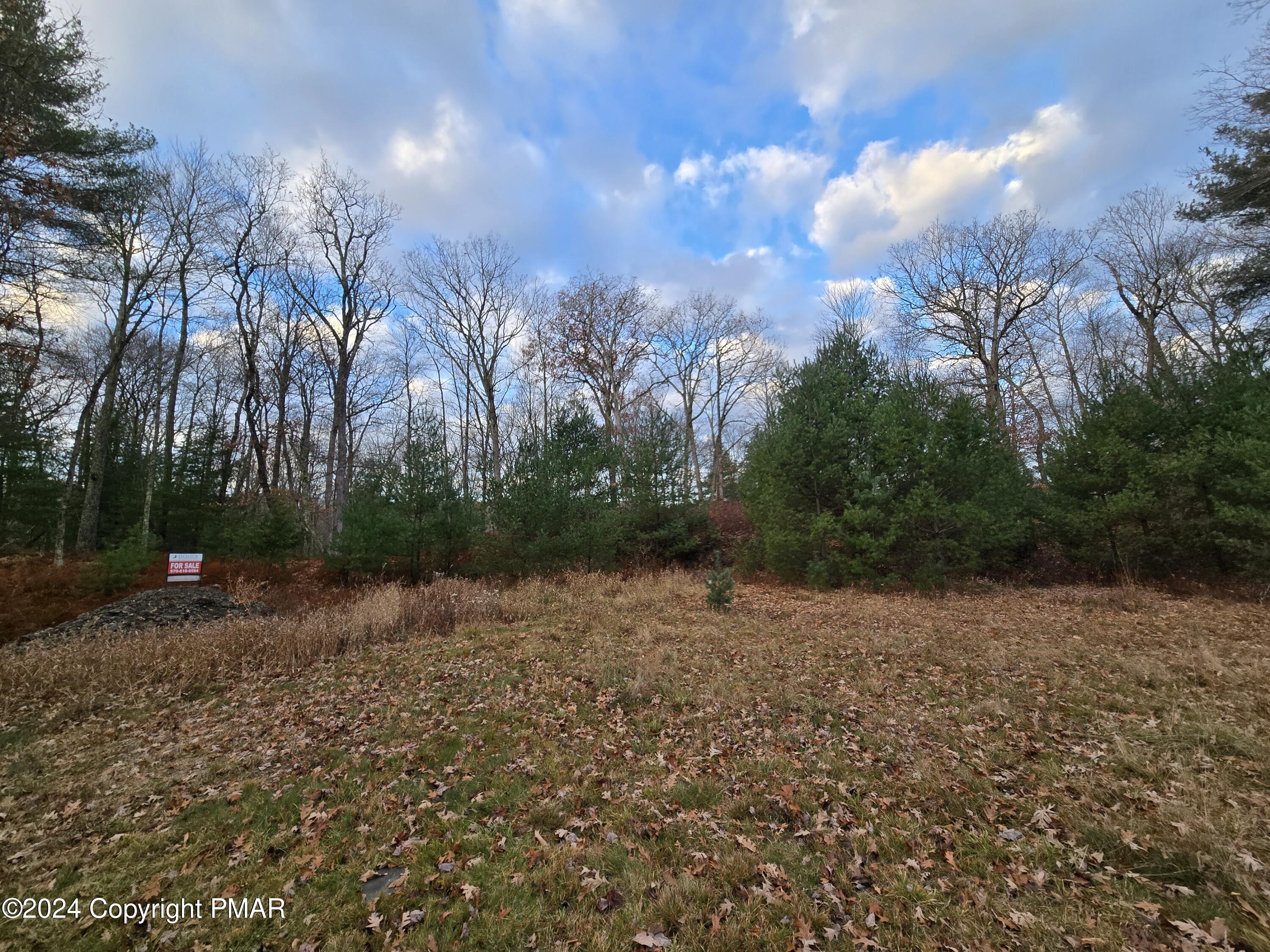 a view of a field with trees in background