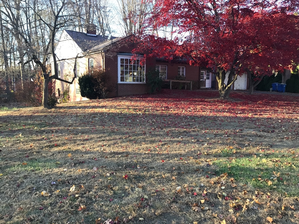 a front view of a house with a yard and trees