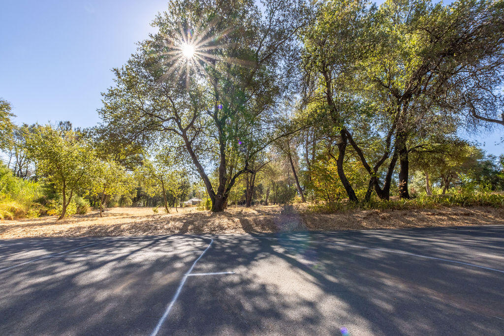 a view of dirt yard with a large tree