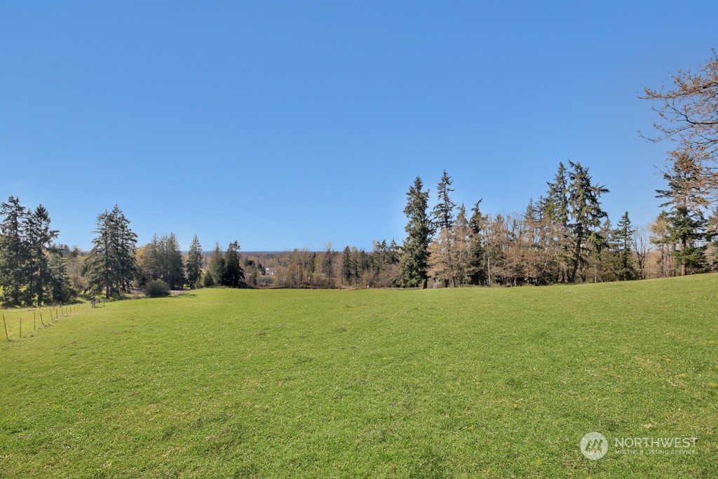 a view of field and trees in the background