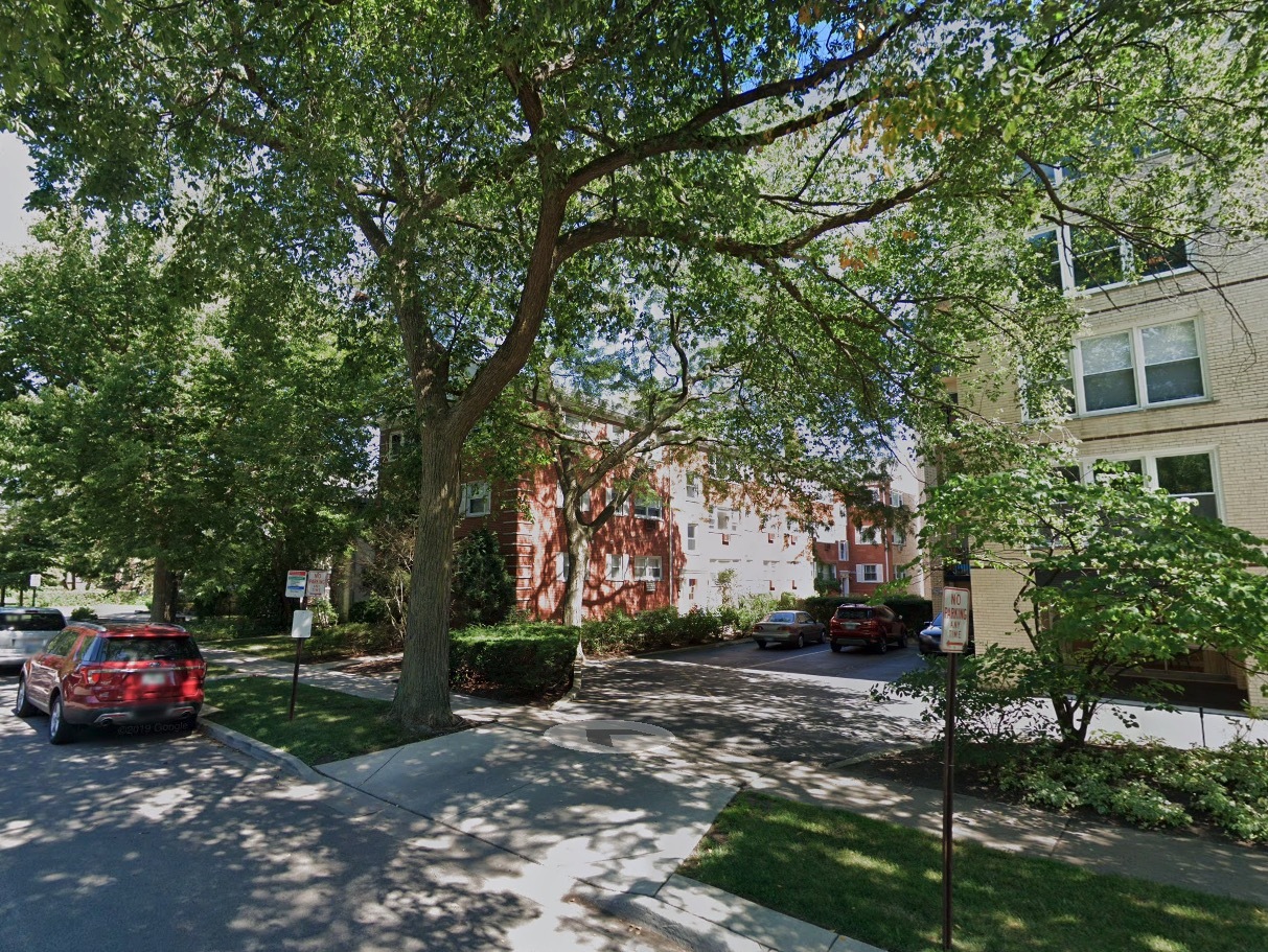 a view of a park that has a tree on the side of it