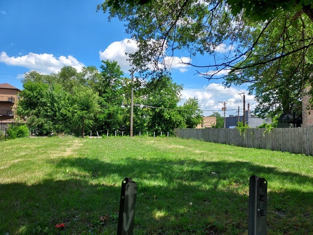 a view of a garden with a tree