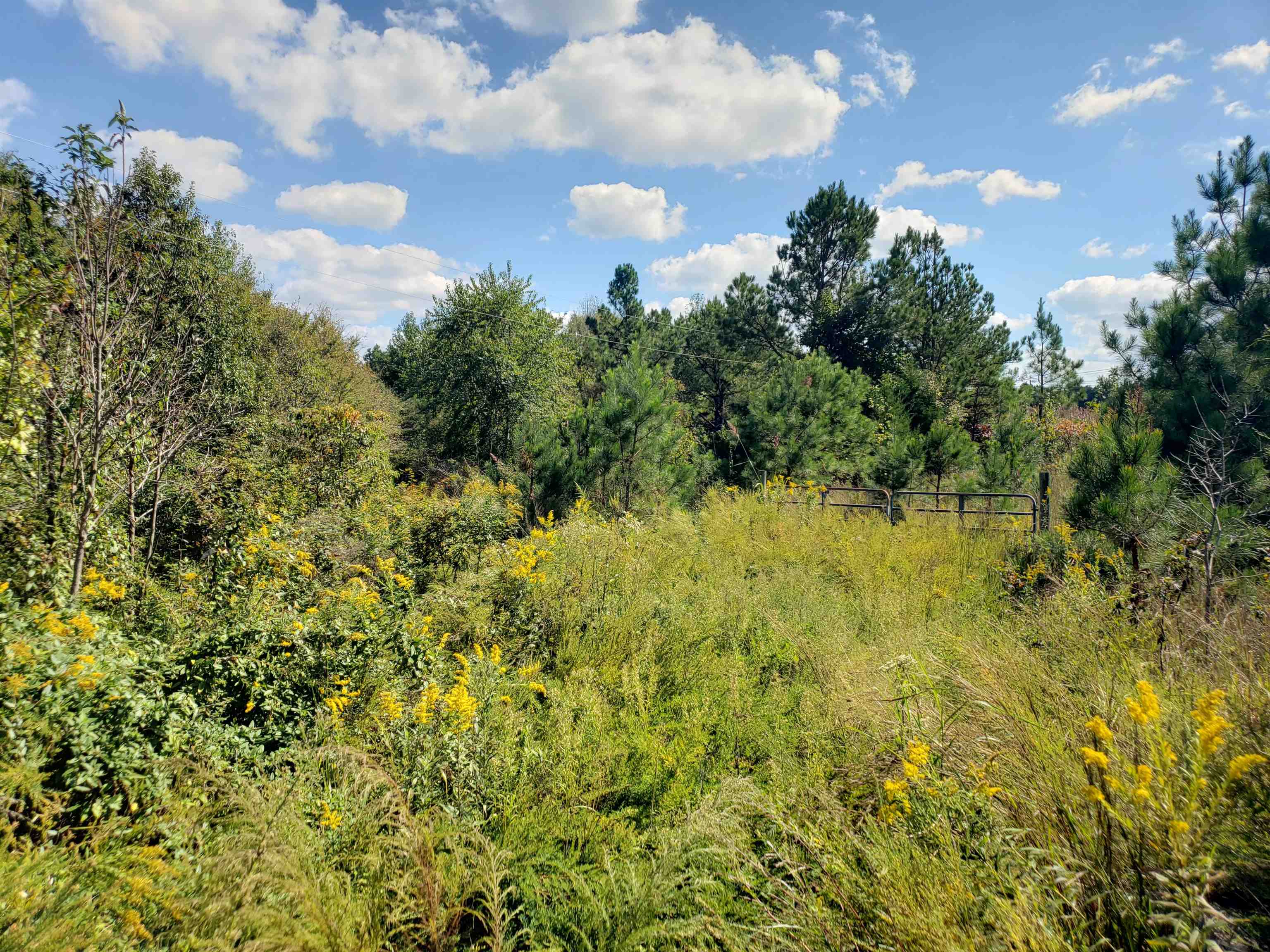 View of landscape