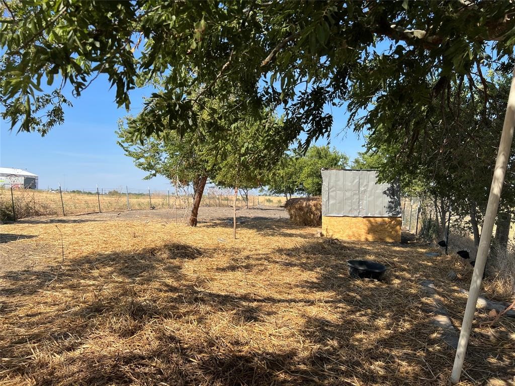 a view of a yard with an trees