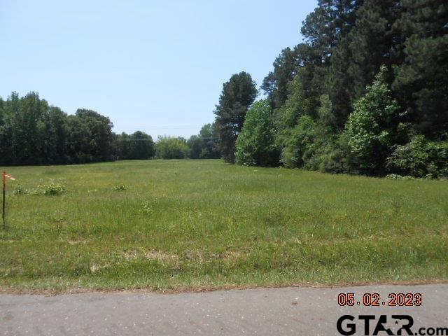 a view of a field with an trees