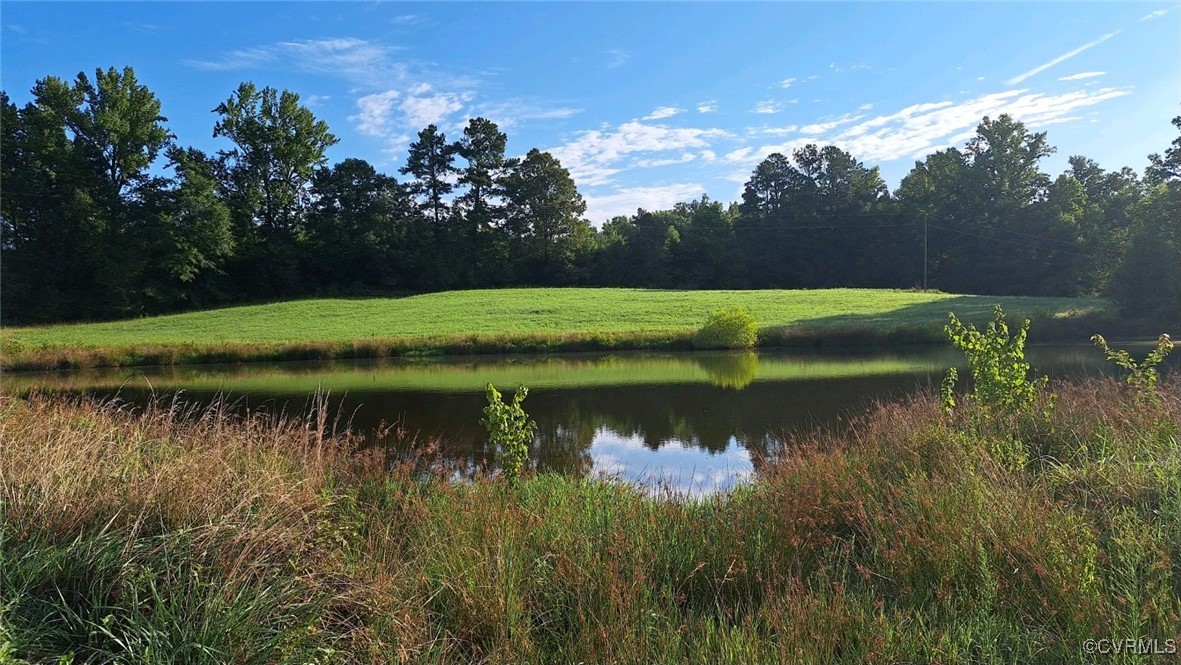 a view of a lake in a yard