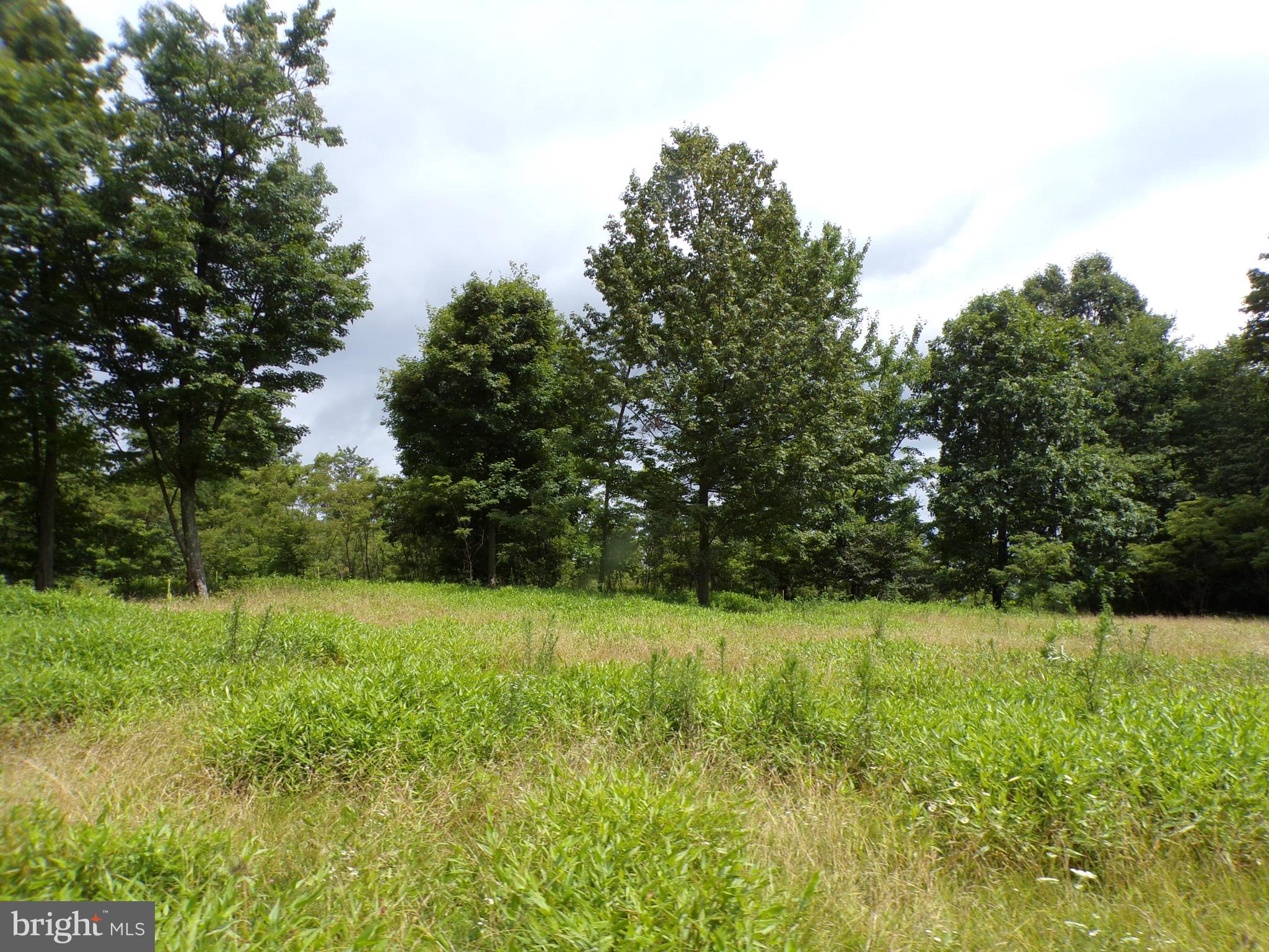 a view of green field with trees in the background