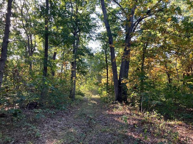 $163,400 | 0 Cr 250 Bethel Mo 63434 | Tiger Fork Township - Shelby County