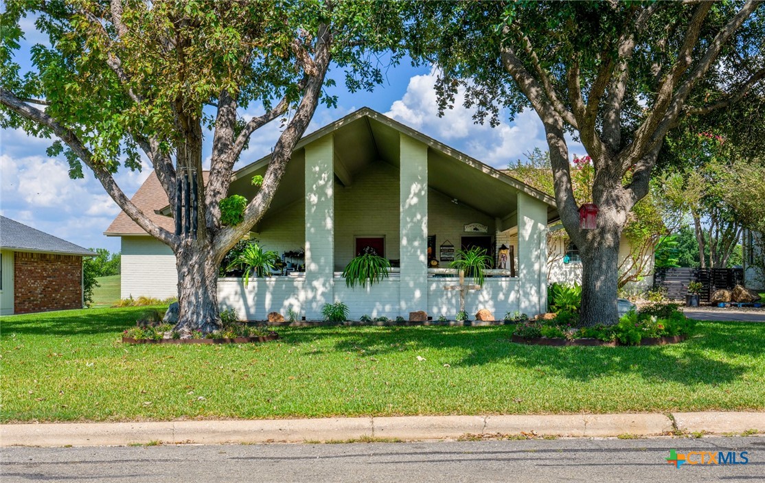 a view of house with a yard