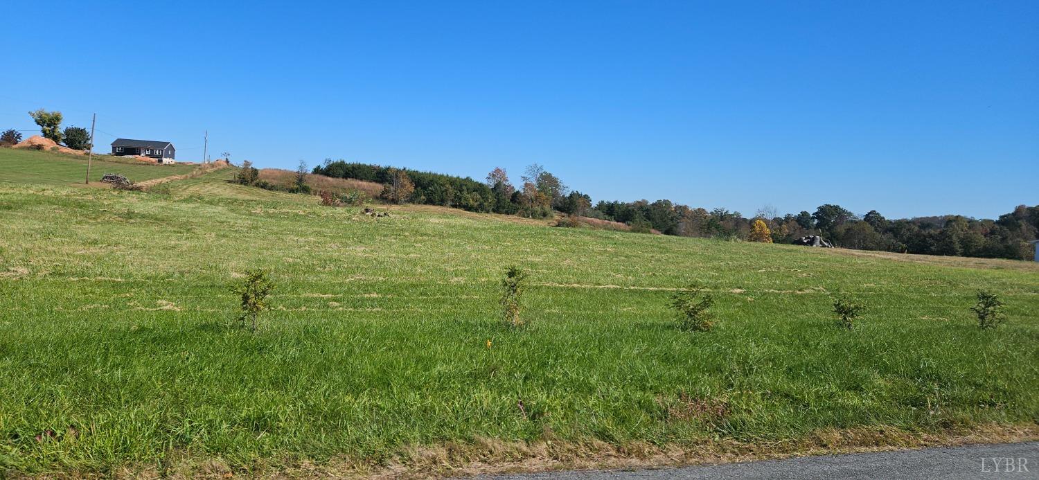 a view of a field with an ocean