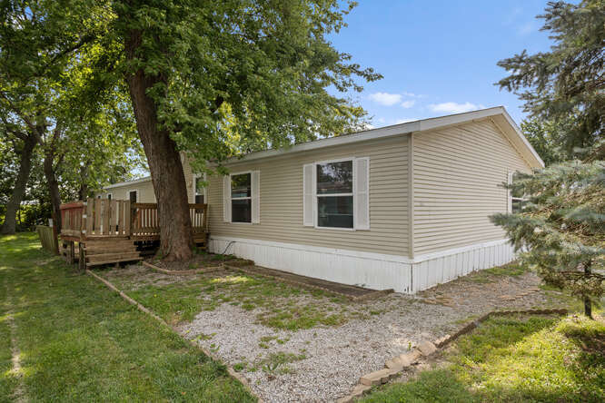 a view of a backyard with a large tree