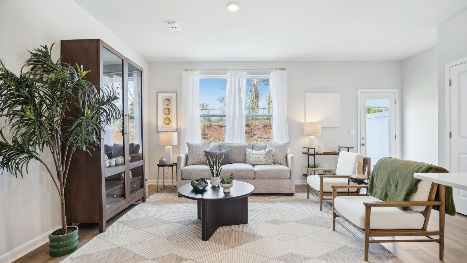 a living room with furniture or couch and a potted plant