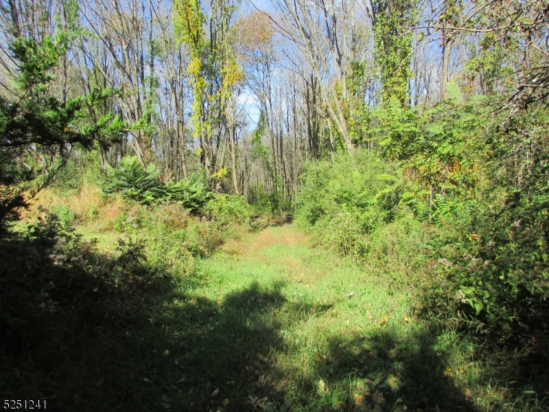 a view of a garden