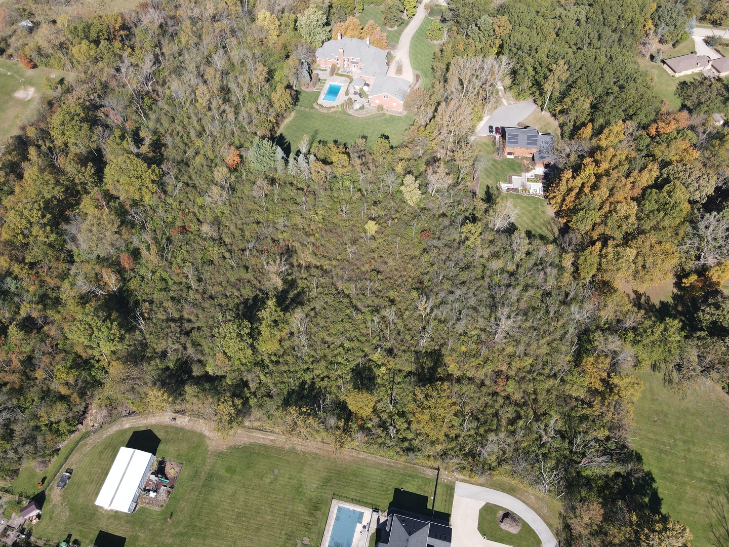 a view of a bunch of trees and bushes