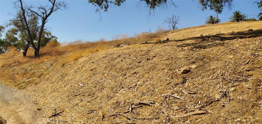 a view of a dry yard