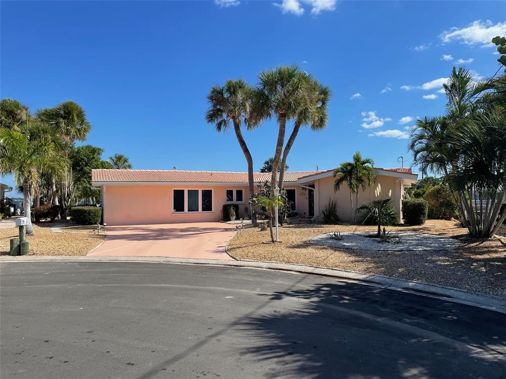 a house with palm tree in front of it