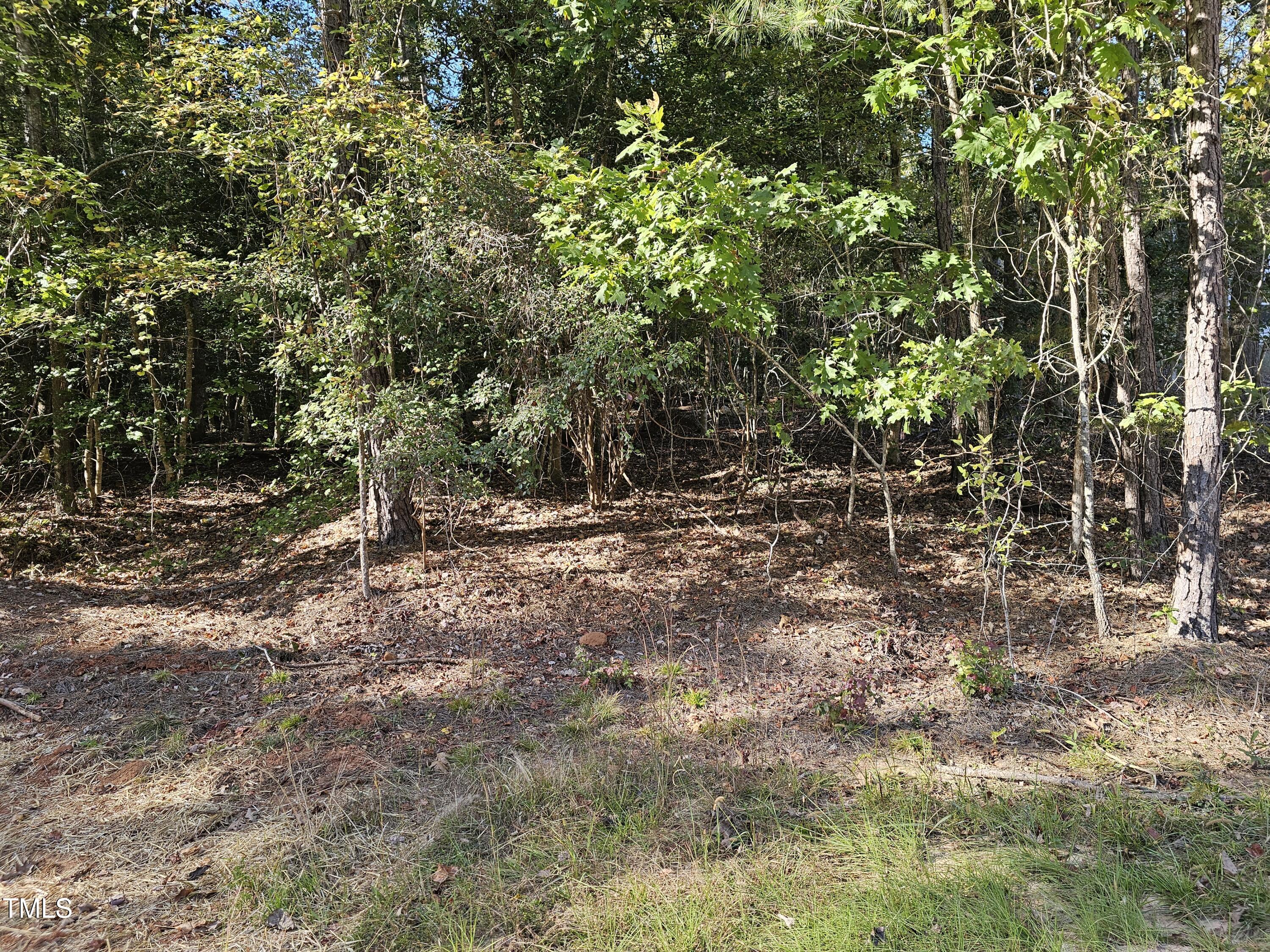 a view of outdoor space with trees