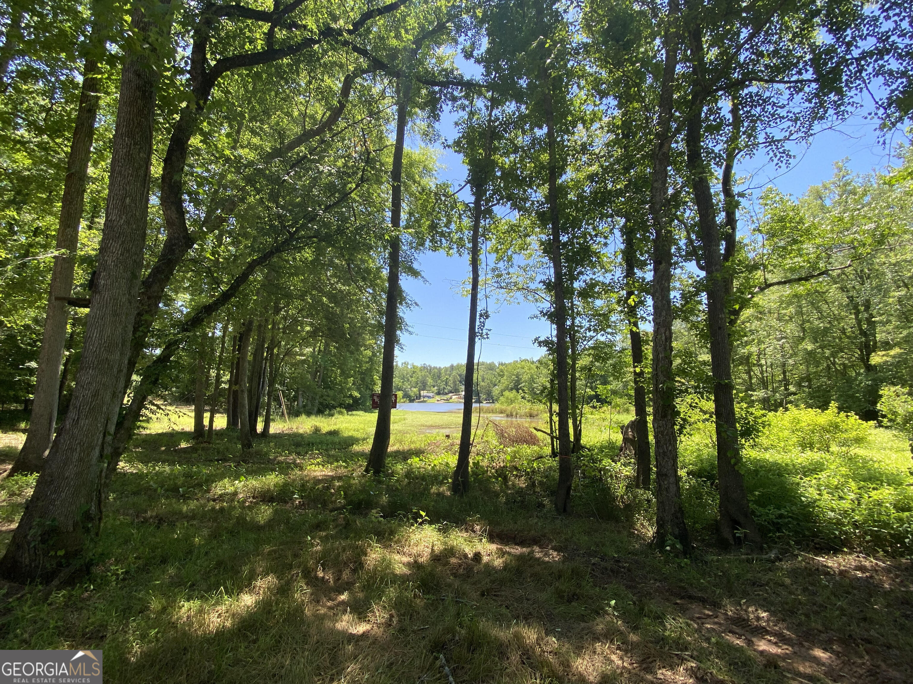 a view of a park