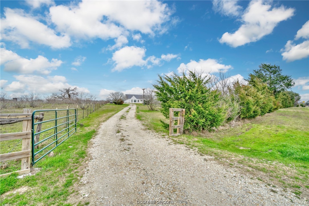 a view of a pathway with a garden