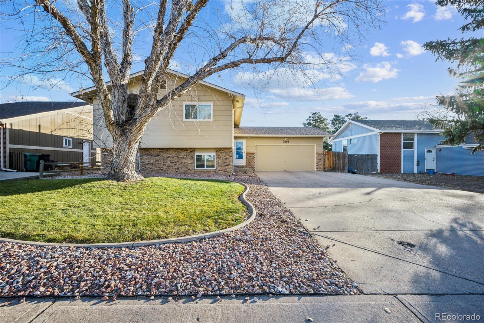 a view of a house with a small yard and large tree