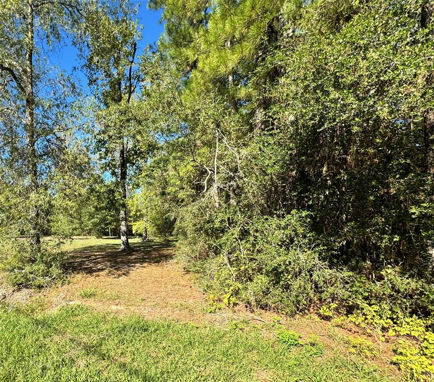 a view of outdoor space and a yard