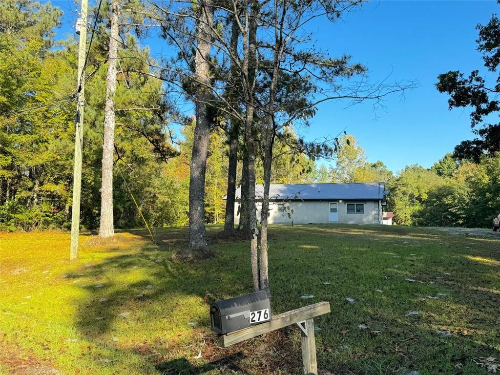 a view of a backyard with large trees