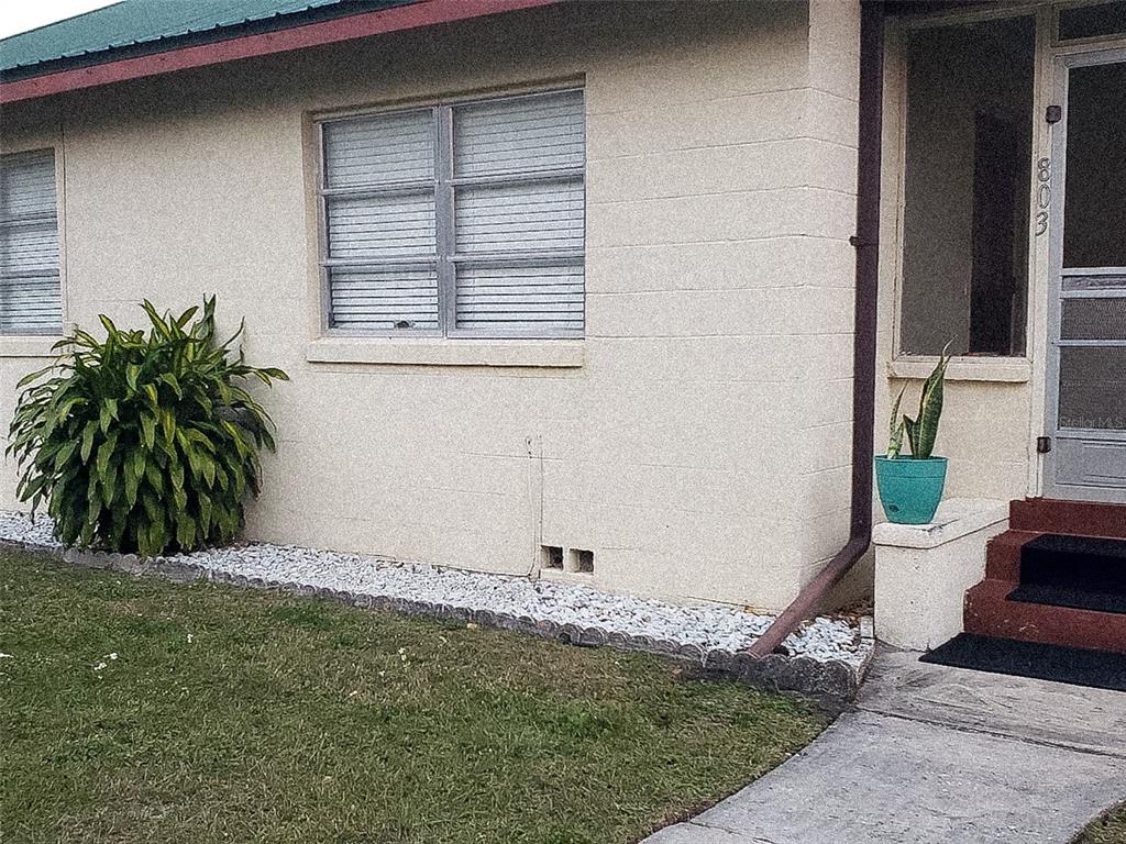 a view of potted plants in backyard of a house