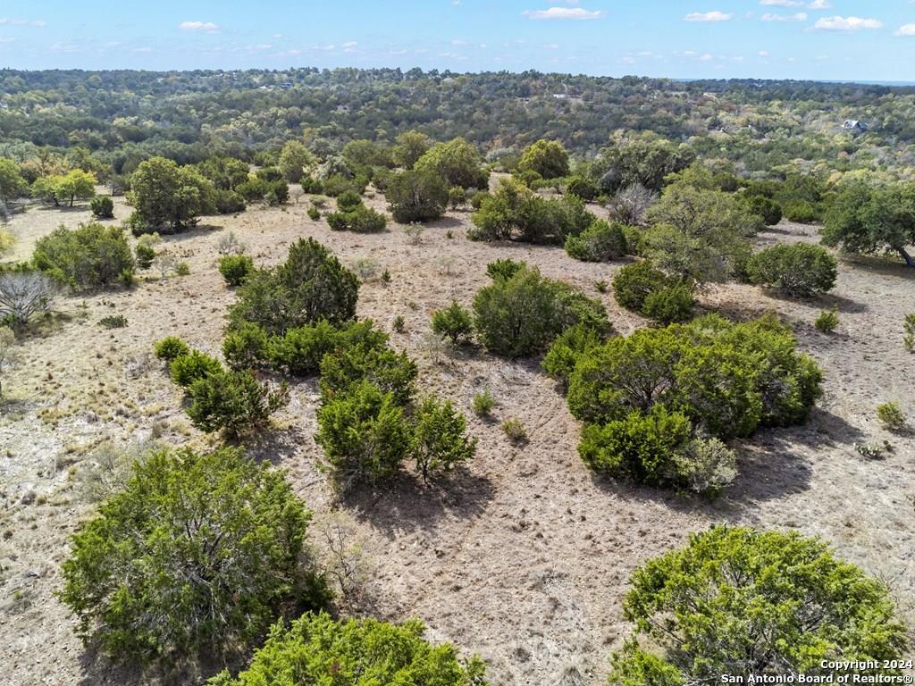 a view of a bunch of trees and bushes