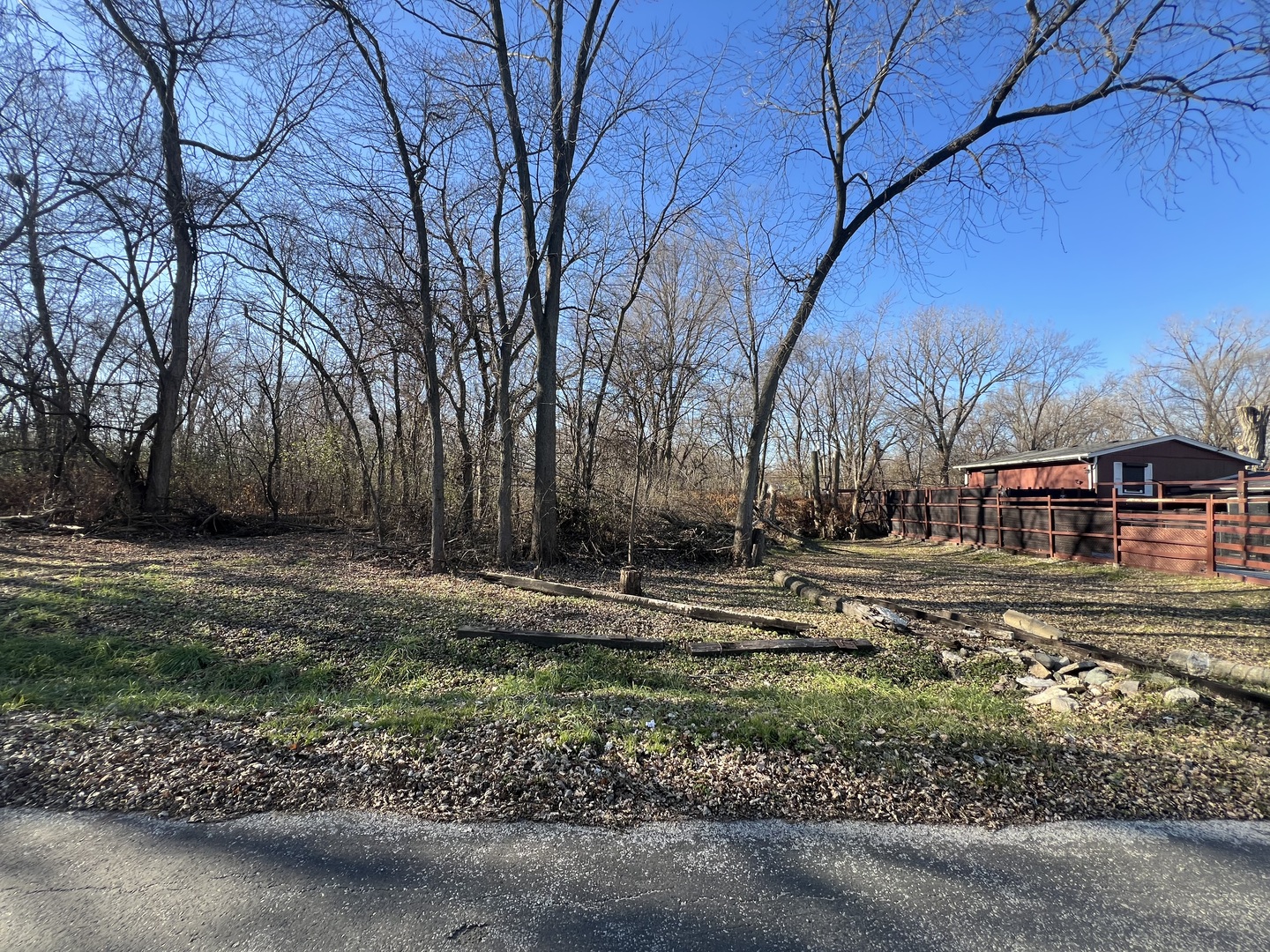 a view of a yard with a large tree