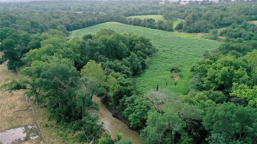 a view of a lush green forest with lots of trees