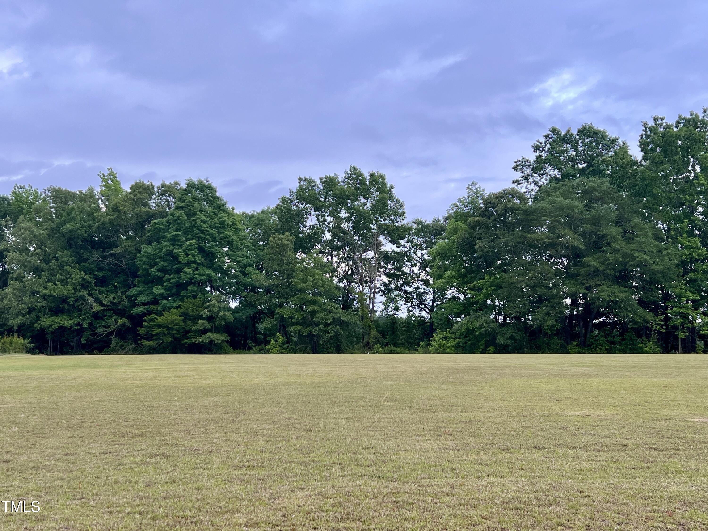 a view of a with large trees