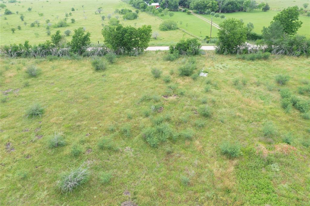 a view of a lush green space with lots of trees