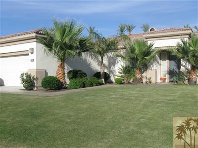 a palm tree sitting in front of a house with a big yard