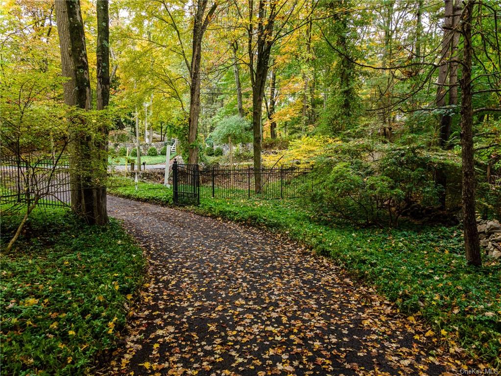 a view of a park with large trees