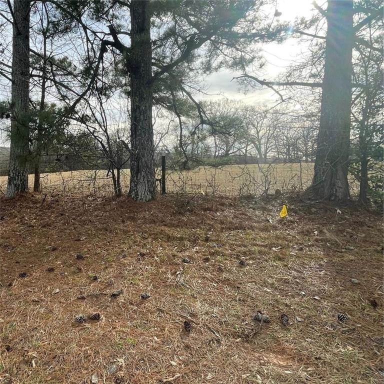 a view of backyard with tree