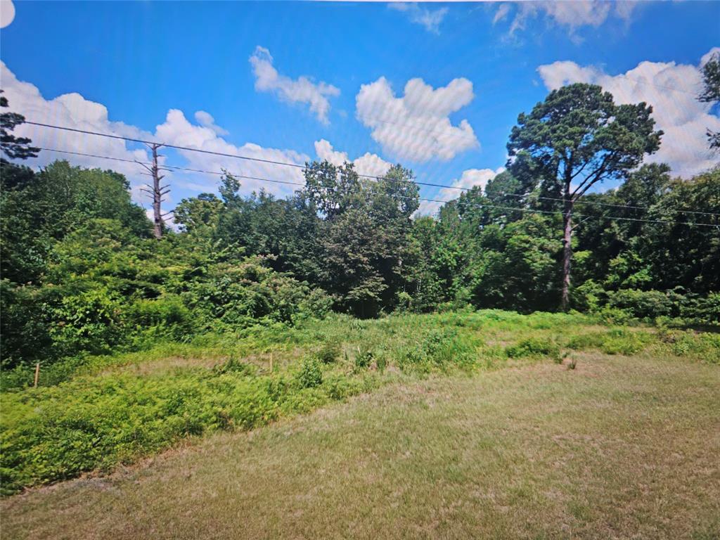 a view of a yard in front of a house