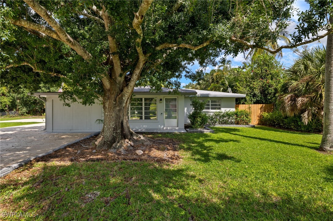 a view of a house with yard and a tree