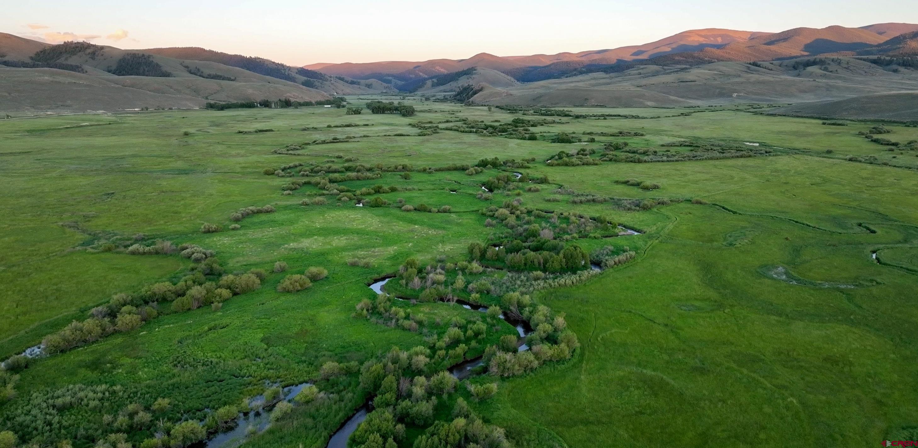 a view of a lush green hillside and a houses