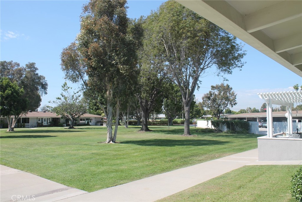 a view of a park with large trees