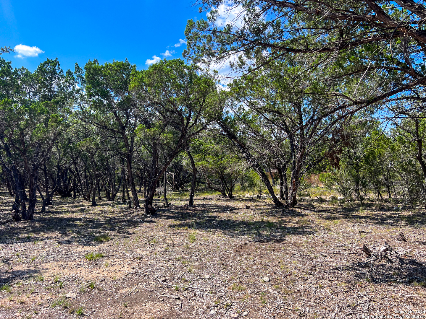 a view of outdoor space with trees