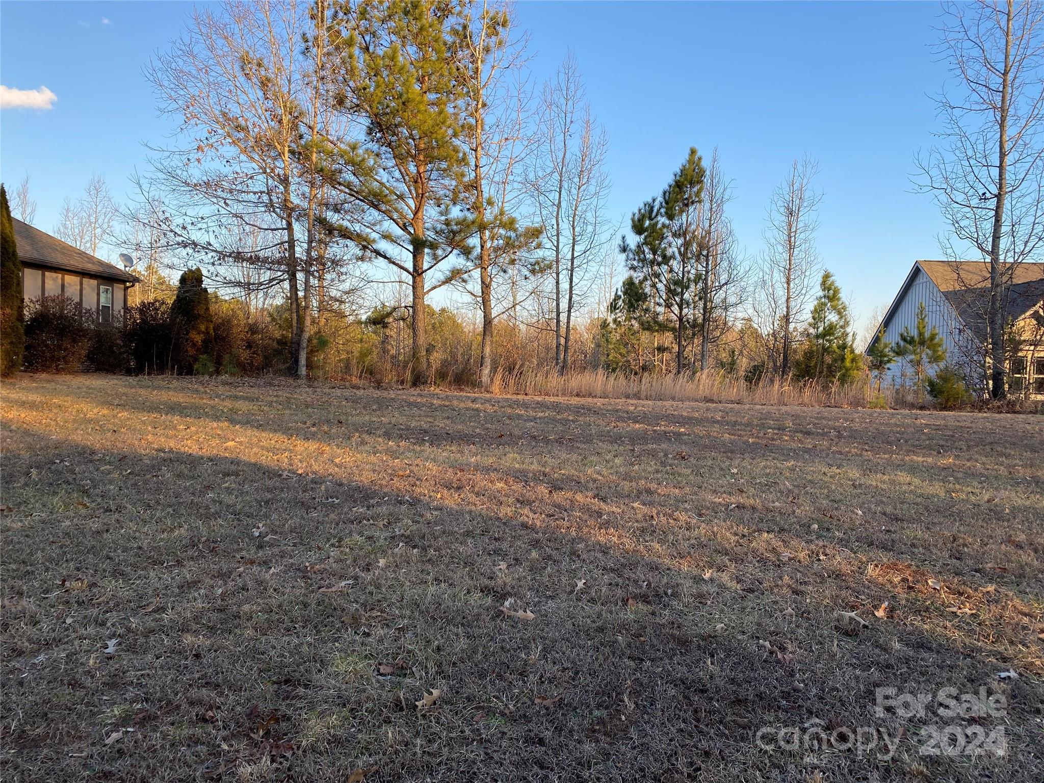 a view of dirt yard with large trees